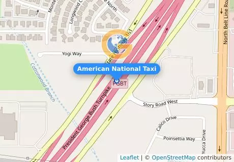 American National Taxi