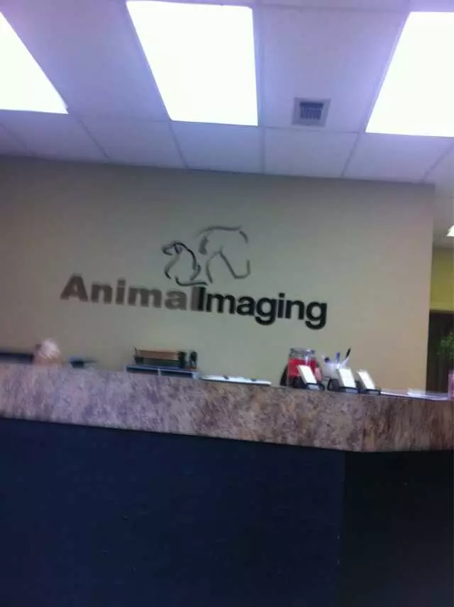 Animal Imaging