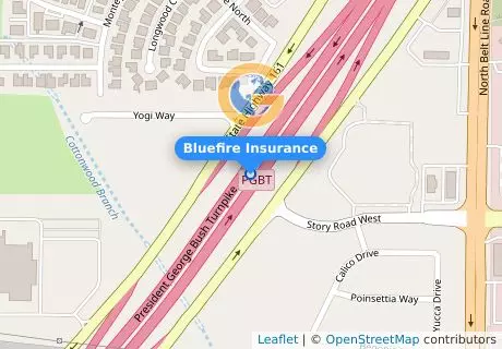Bluefire Insurance