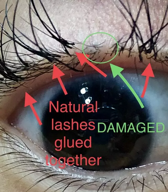 The Lash Wispyer