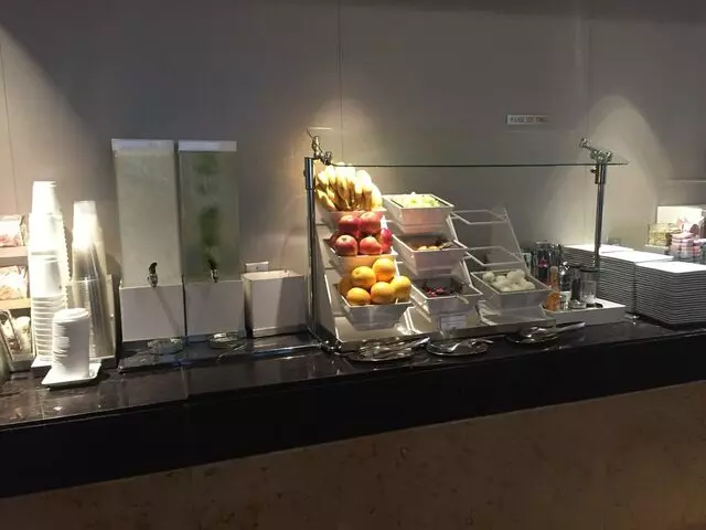American Airlines Admirals Club DFW-D