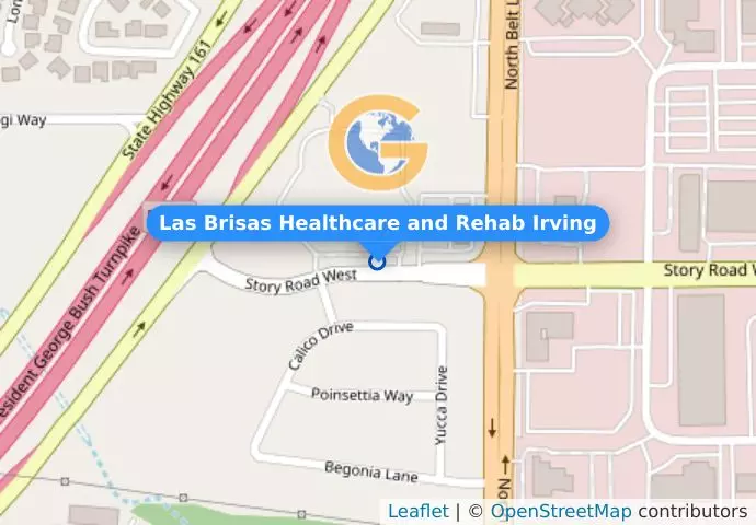 Las Brisas Healthcare and Rehab Irving