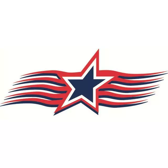 American Air Customs