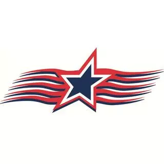 American Air Customs