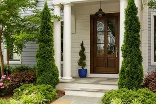 Veza Lawn Care