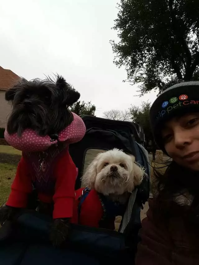 Alma’s Pet Walking Service