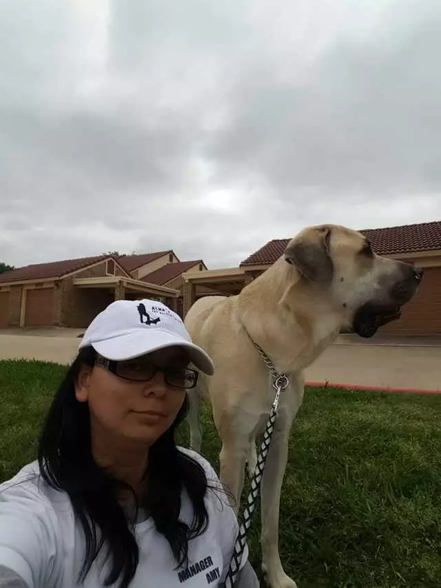Alma’s Pet Walking Service