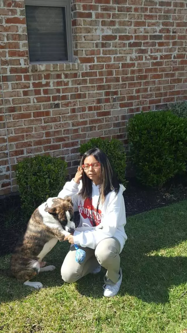 Alma’s Pet Walking Service