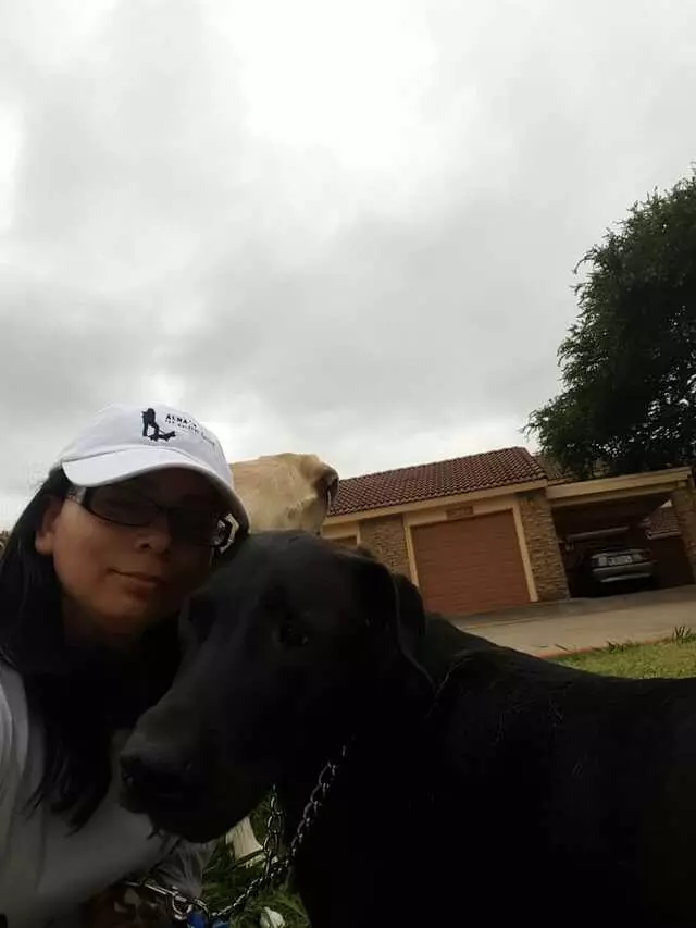 Alma’s Pet Walking Service