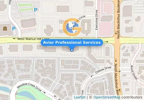 Avior Professional Services
