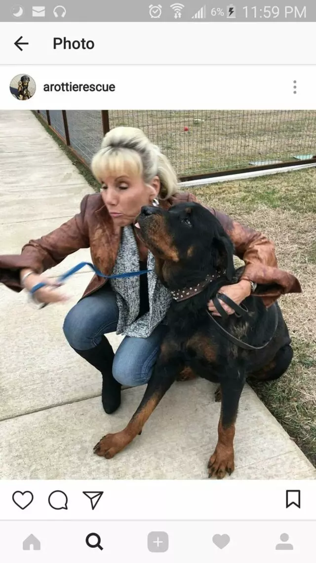 A Rottie Rescue