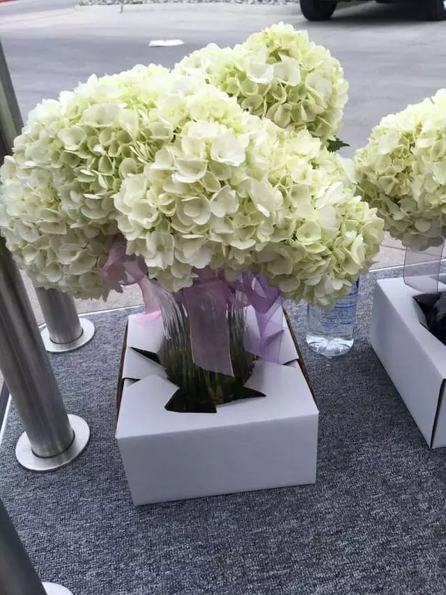 A Floral Experience