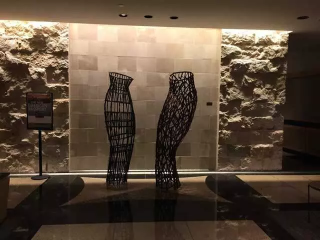 American Airlines Admirals Club DFW-C