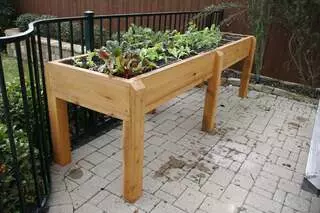 Liberty Urban Agriculture