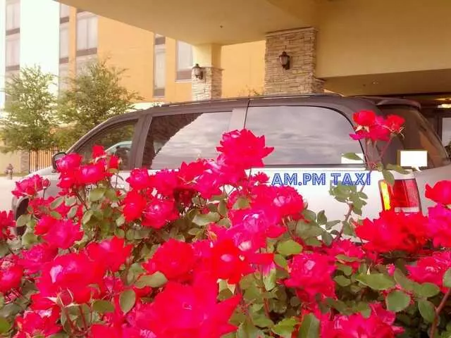 AM PM Limo
