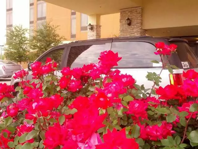 AM PM Limo